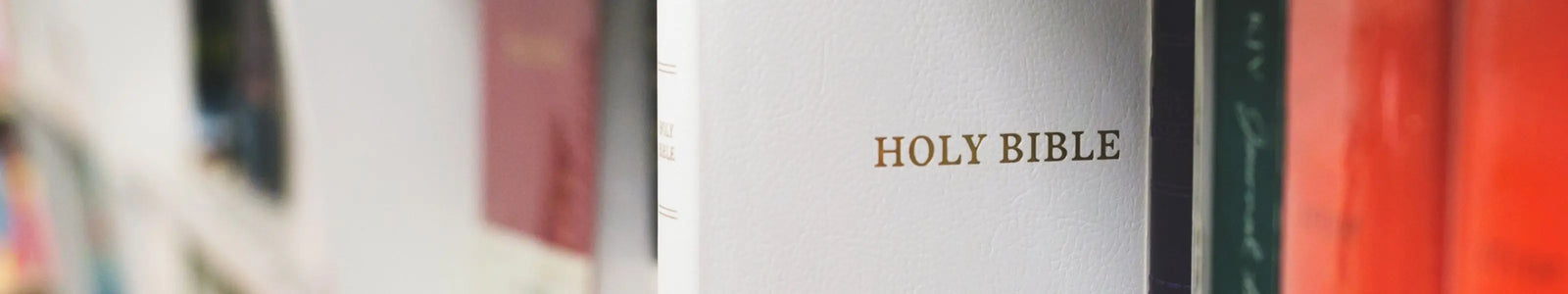 How to Choose the Right Study Bible for You