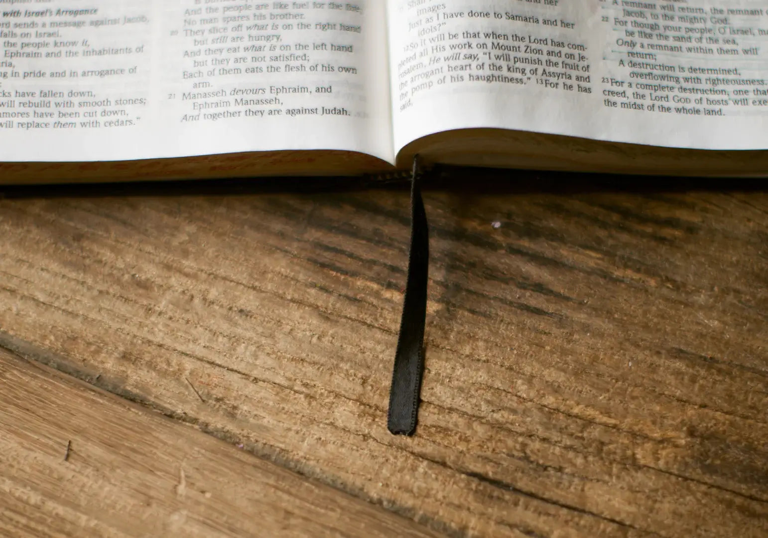 Which version of the Bible should I read?