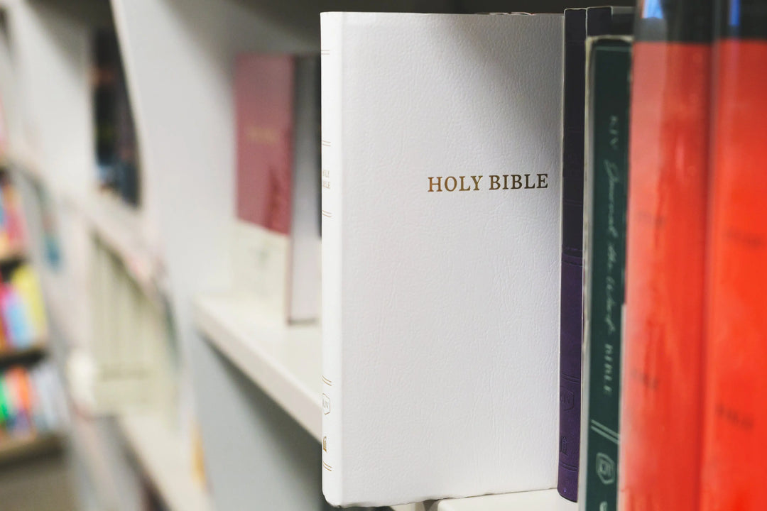 How to Choose the Right Study Bible for You