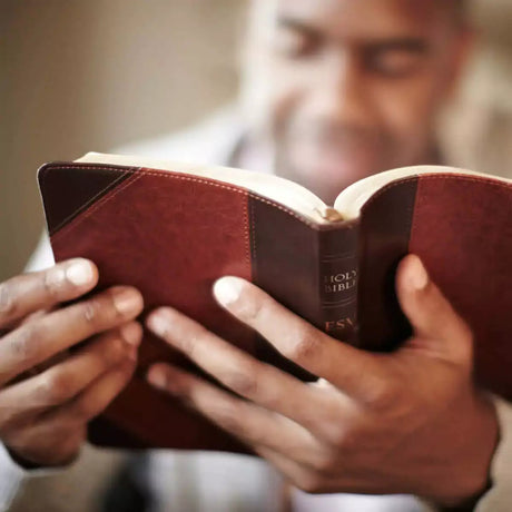 Bibles for Men