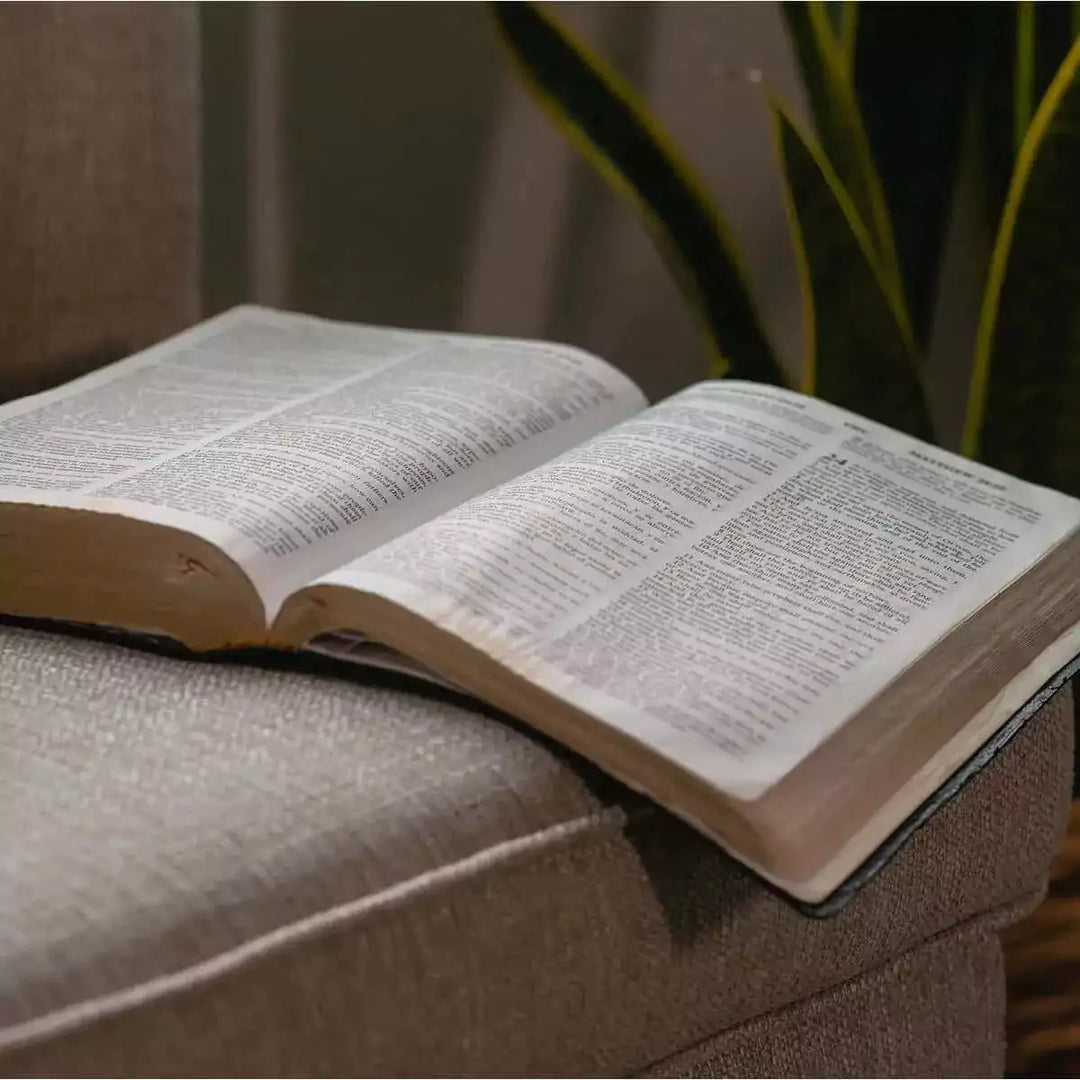 Bibles for New Believers