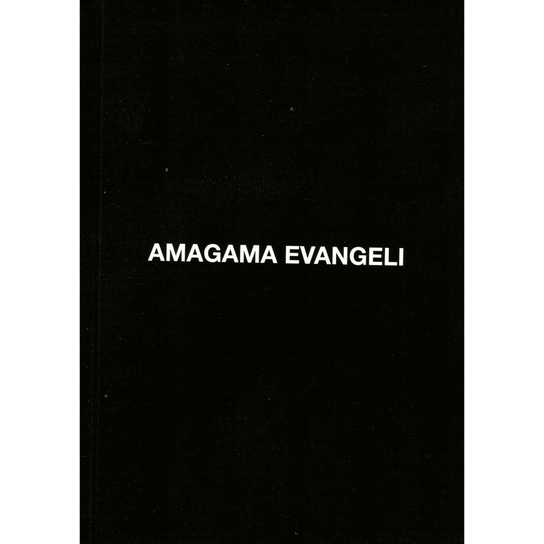 Amagama Evangeli Zulu (Paperback)