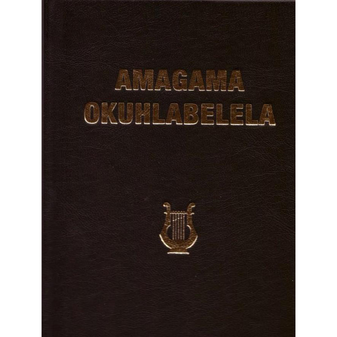 Amagama Okuhlabalela Zulu (Hardcover)