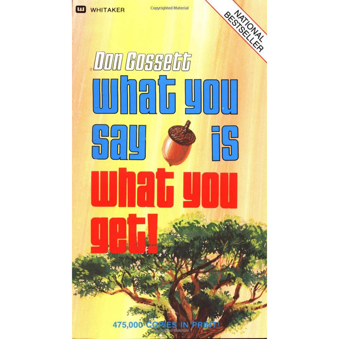 What You Say Is What You Get (Paperback)