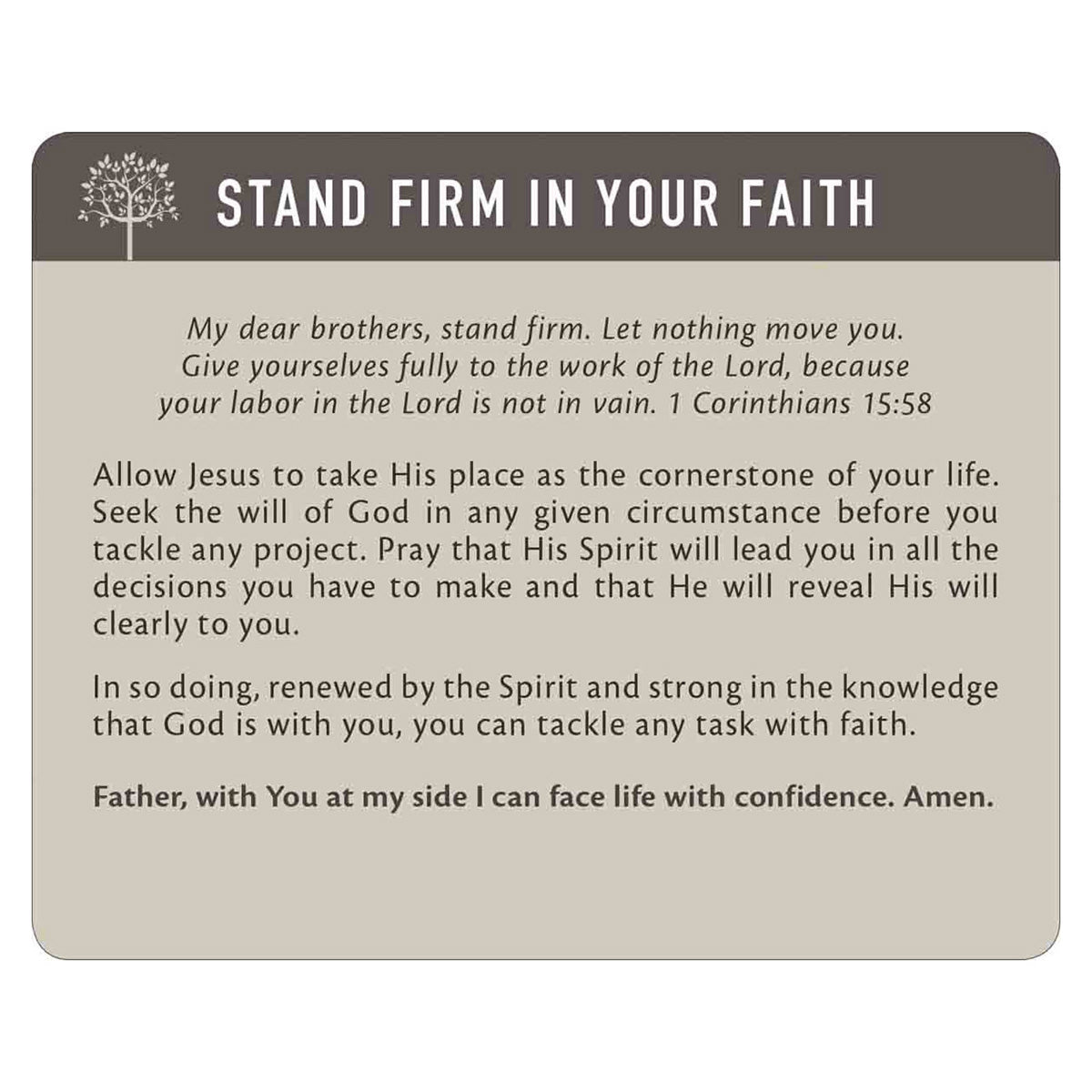 Stand Firm Cards In Tin