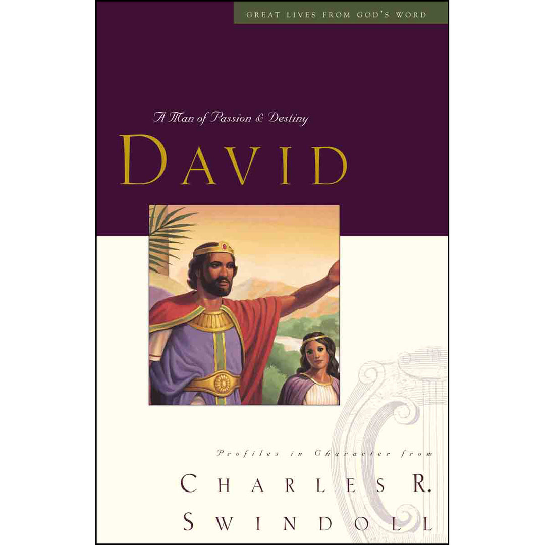 David: Man Of Passion & Destiny (Great Lives)(Paperback)