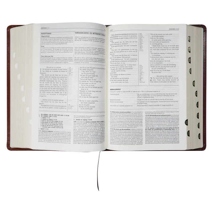 Die Bybel In Praktyk Bruin Kunsleer Bybel Met Duimgrepe