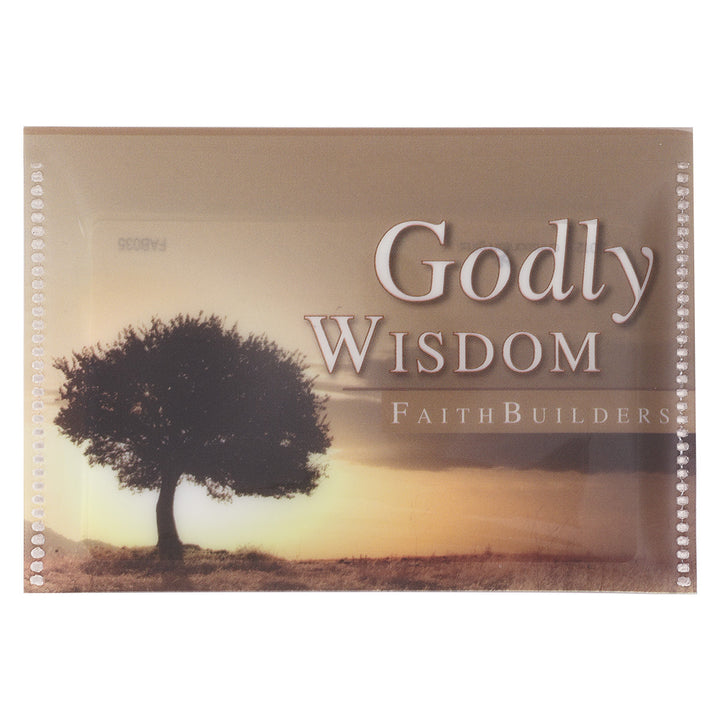 Godly Wisdom (Faithbuilder Card)