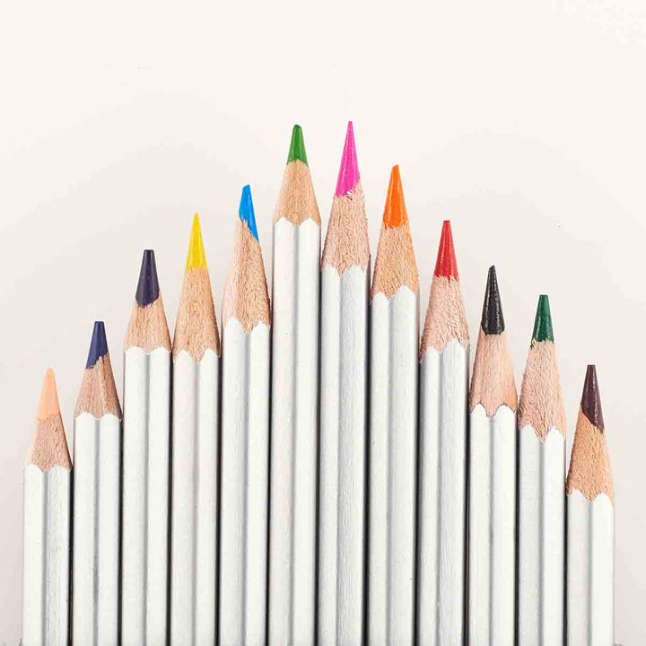 Veritas Coloring Pencils (Set Of 12)(Coloring Pencils)