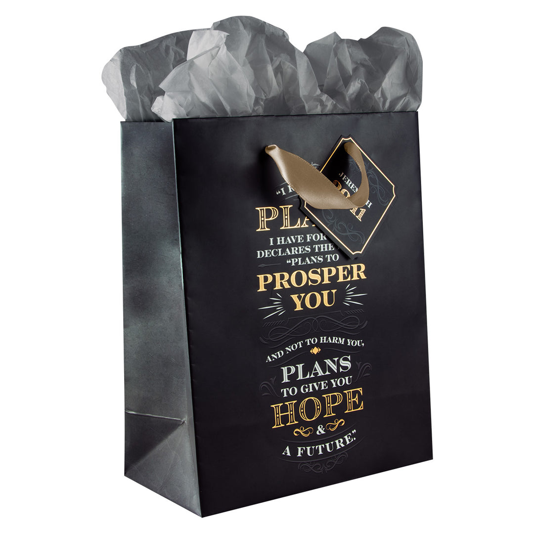 I Know The Plans Medium Gift Bag With Gift Tag - Jeremiah 29:11