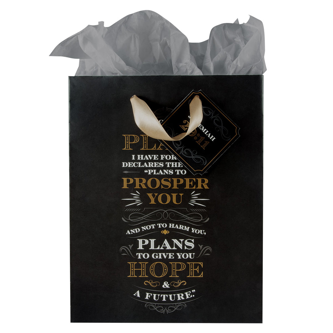 I Know The Plans Medium Gift Bag With Gift Tag - Jeremiah 29:11