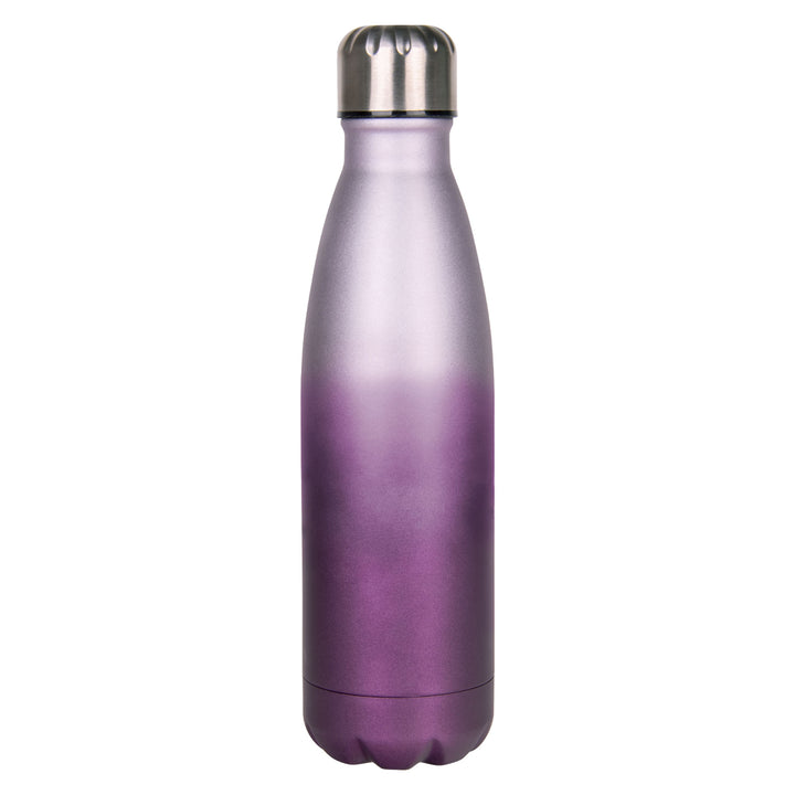 You Are Altogether Beautiful Stainless Purple Steel Water Bottle