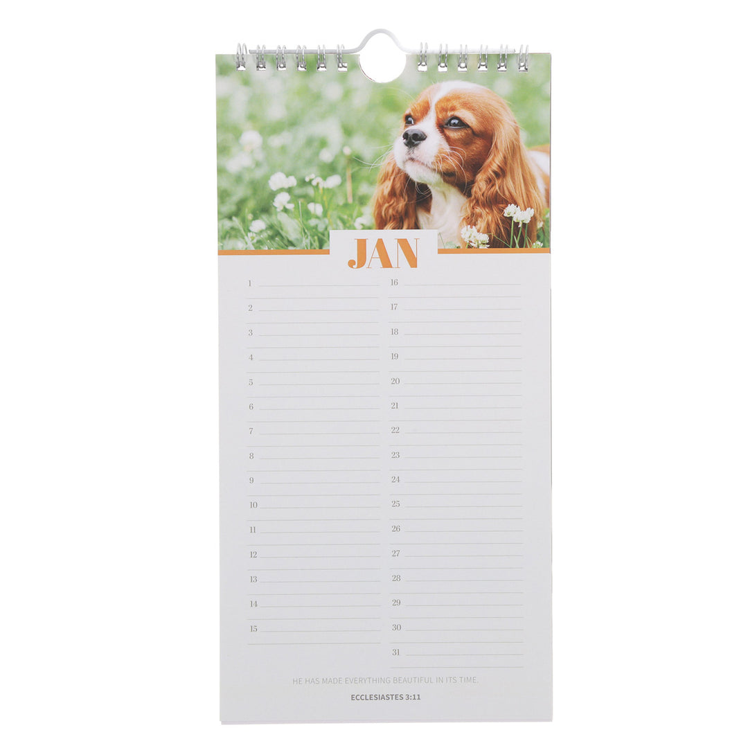 Plans to Prosper You Pets Design Special Days Calendar