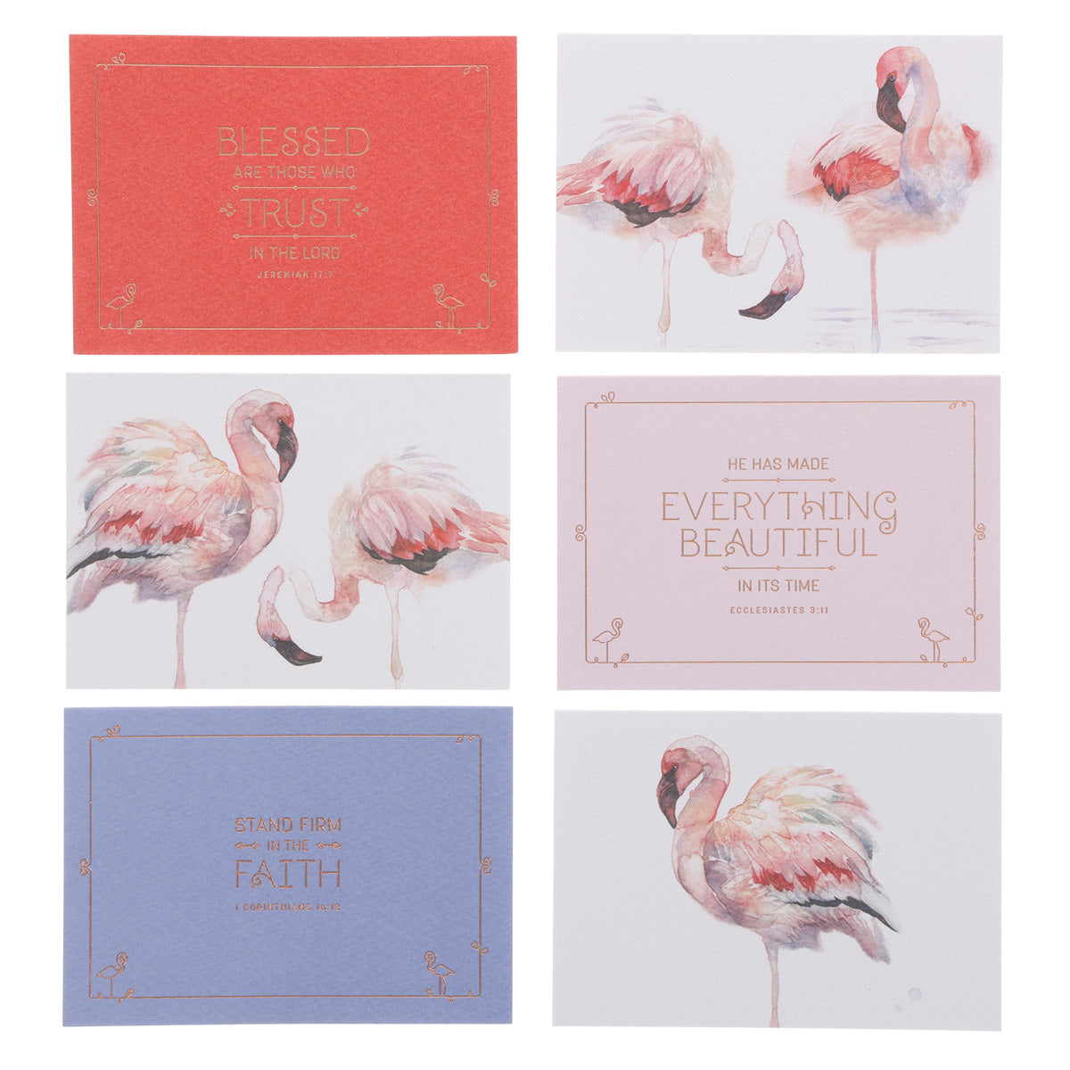Stand Firm in the Faith Boxed Set of 12 Cards and Envelopes