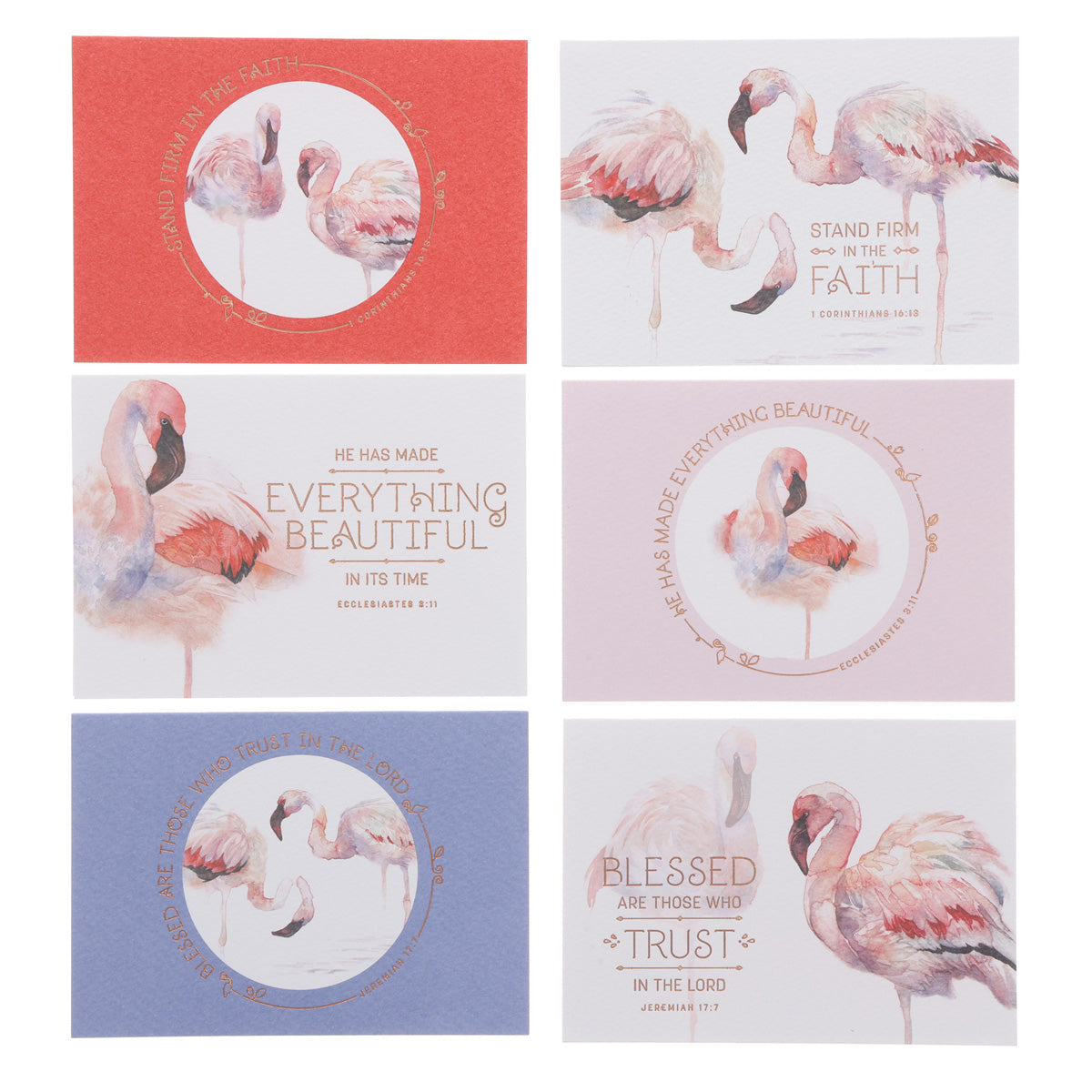 Stand Firm in the Faith Boxed Set of 12 Cards and Envelopes