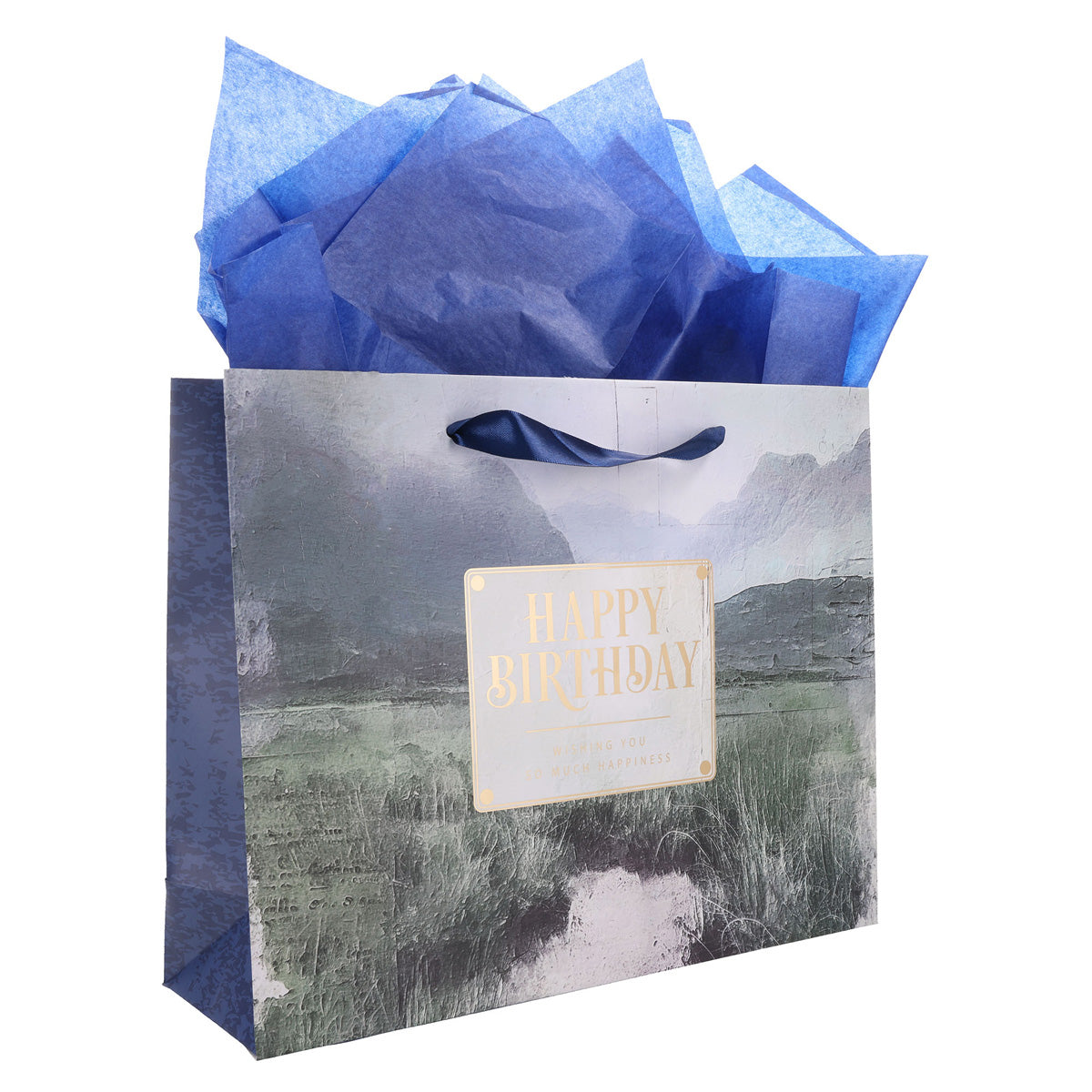 Vally Scene Happy Birthday Large Landscape Gift Bag with Card