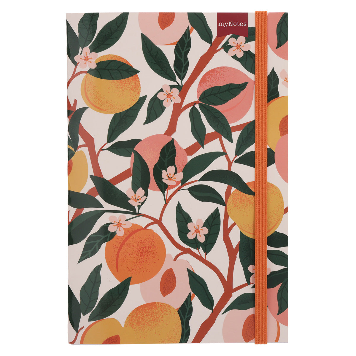 MyNotes Peaches A5 (Paperback)