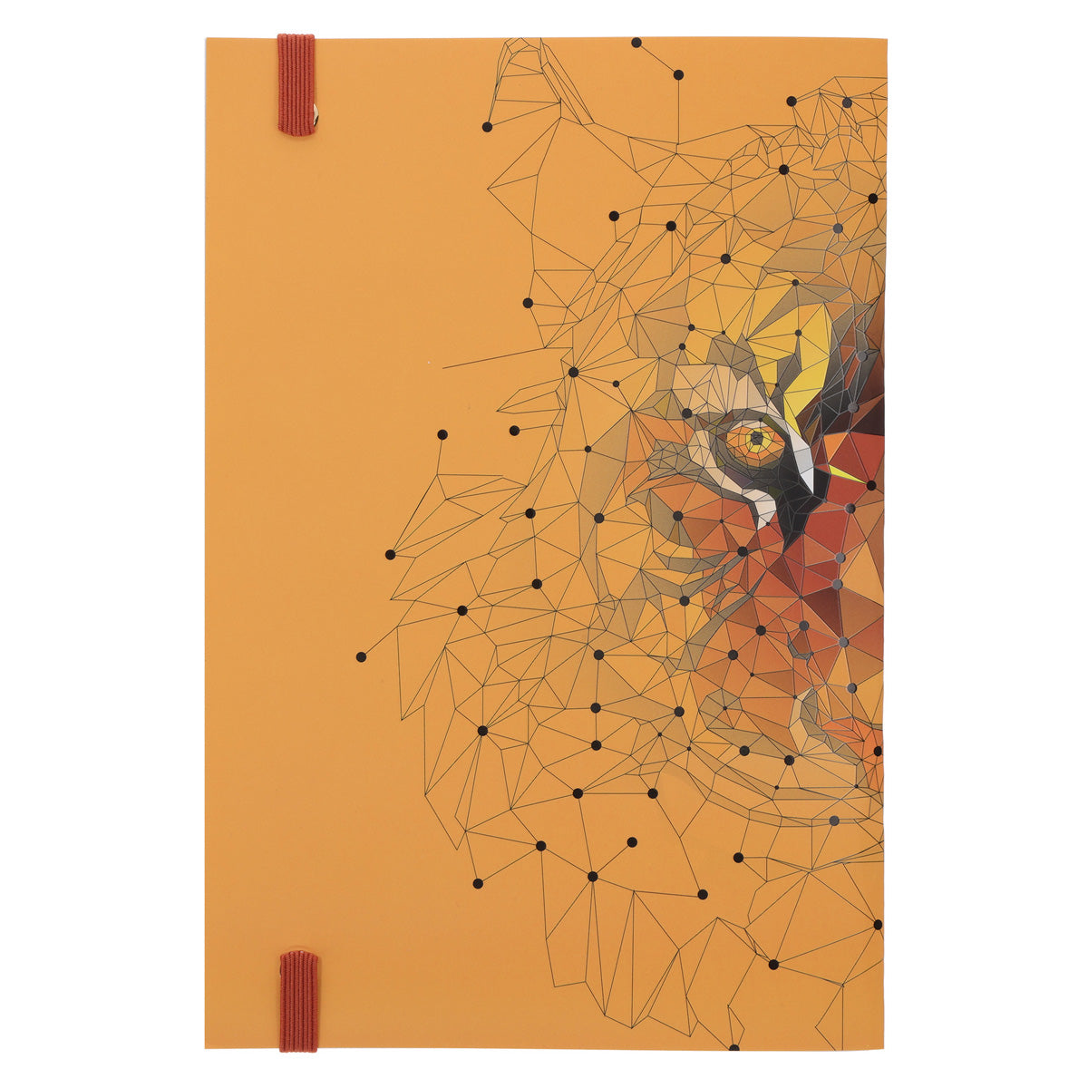 MyNotes Tiger A5 (Paperback)