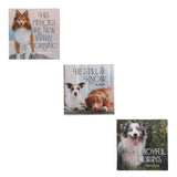 Pets Three-Piece Magnetic Set