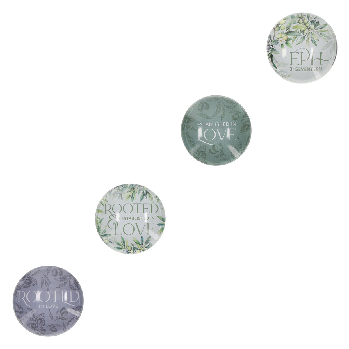 Rooted & Established in Love Four-Piece Glass Magnetic Set