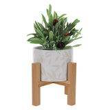 Rooted in Love Ceramic Planter with Wooden Stand Set