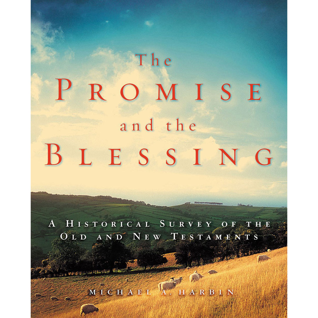 The Promise And The Blessing: A Historical Survey Of The Old And New Testaments (Paperback)