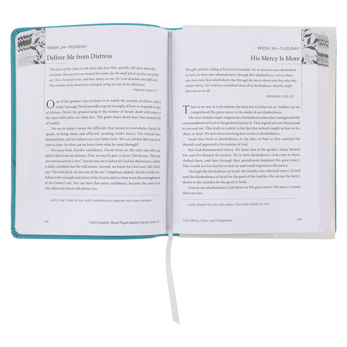 God's Mercy Grace and Compassion - MyDaily Devotional (Imitation Leather)