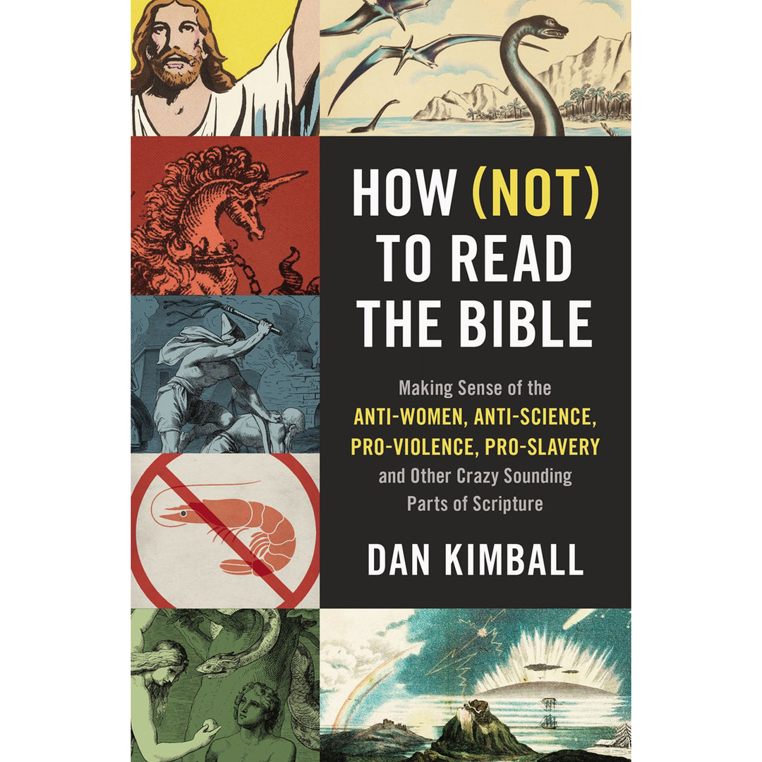 How Not To Read The Bible (Paperback)