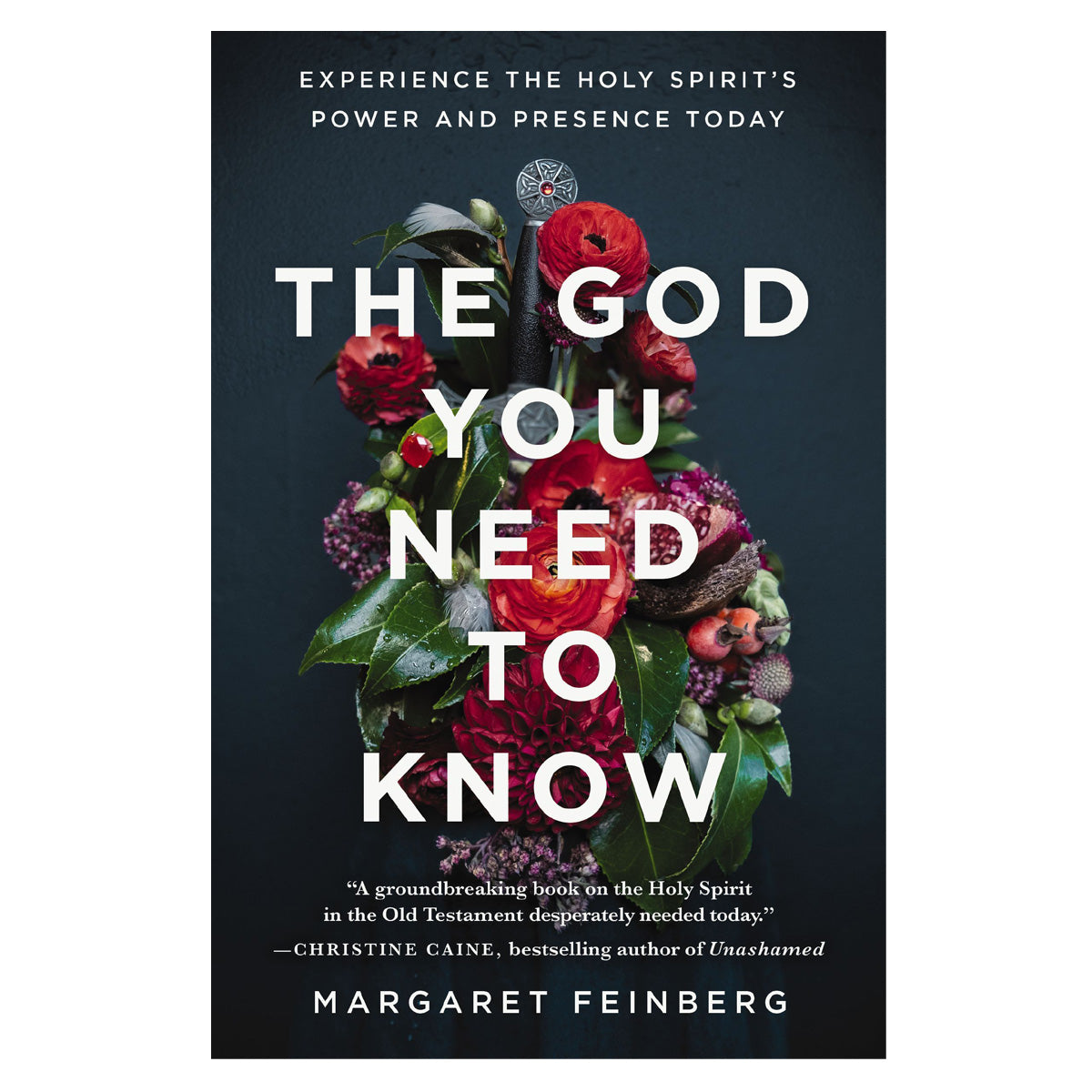 The God You Need to Know: Experience the Holy Spirit's Power & Presence Today PB