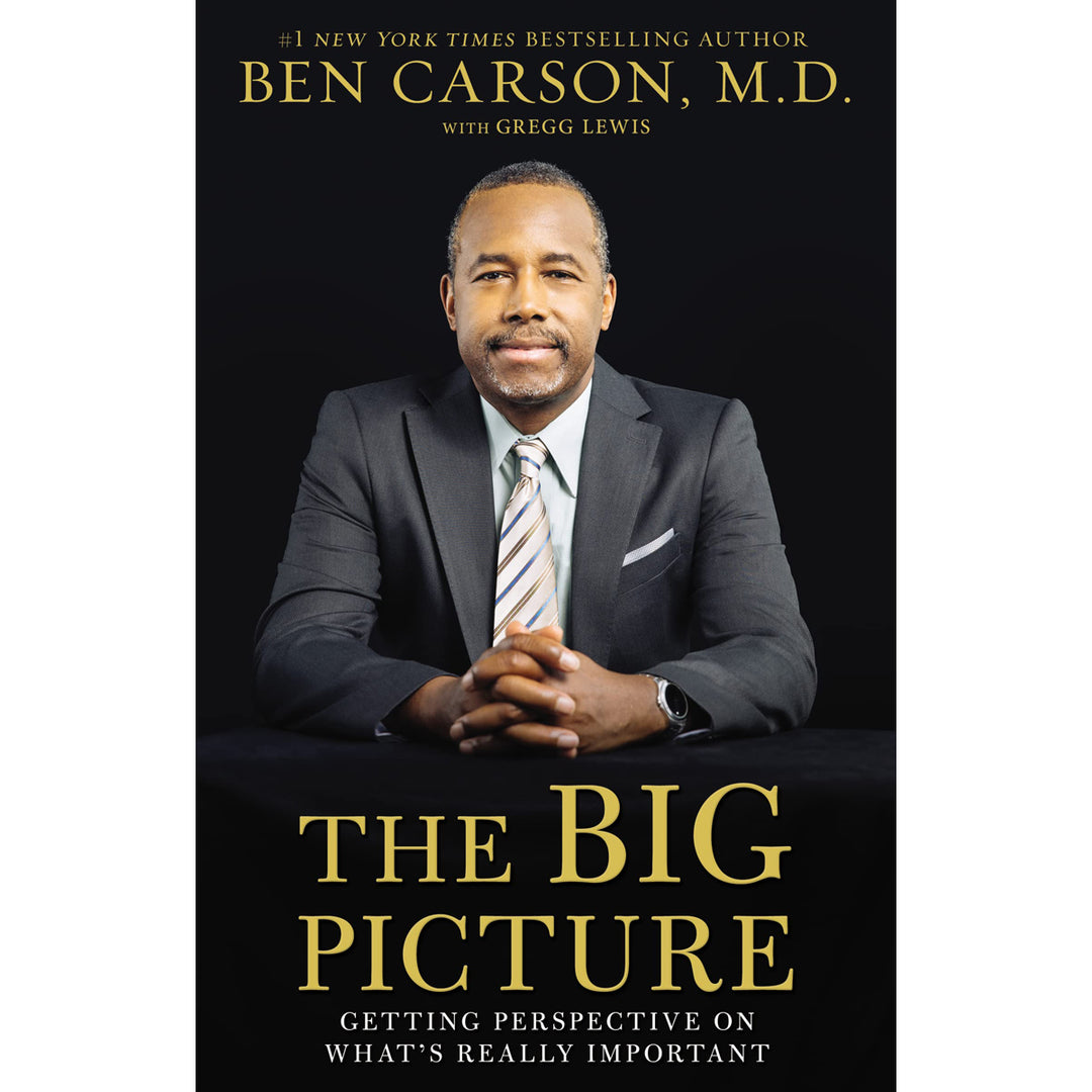 The Big Picture: Getting Perspective On What's Really Important (Paperback)