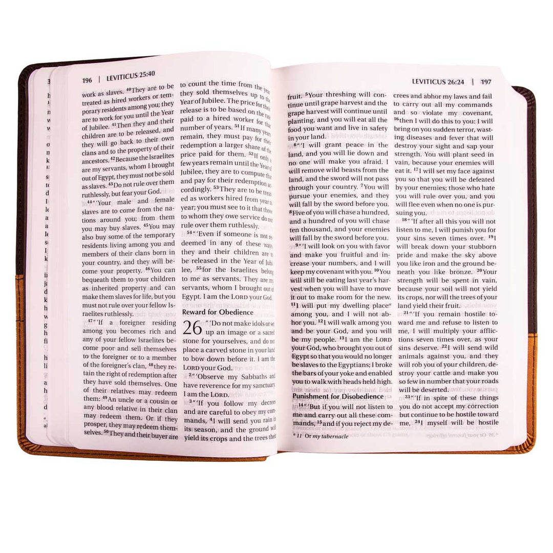NIV Chocolate & Amber Two Tone Faux Leather Holy Bible Larger Print