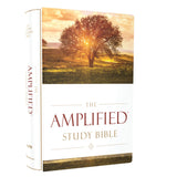 Amplified Study Bible Large Print (Hardcover)