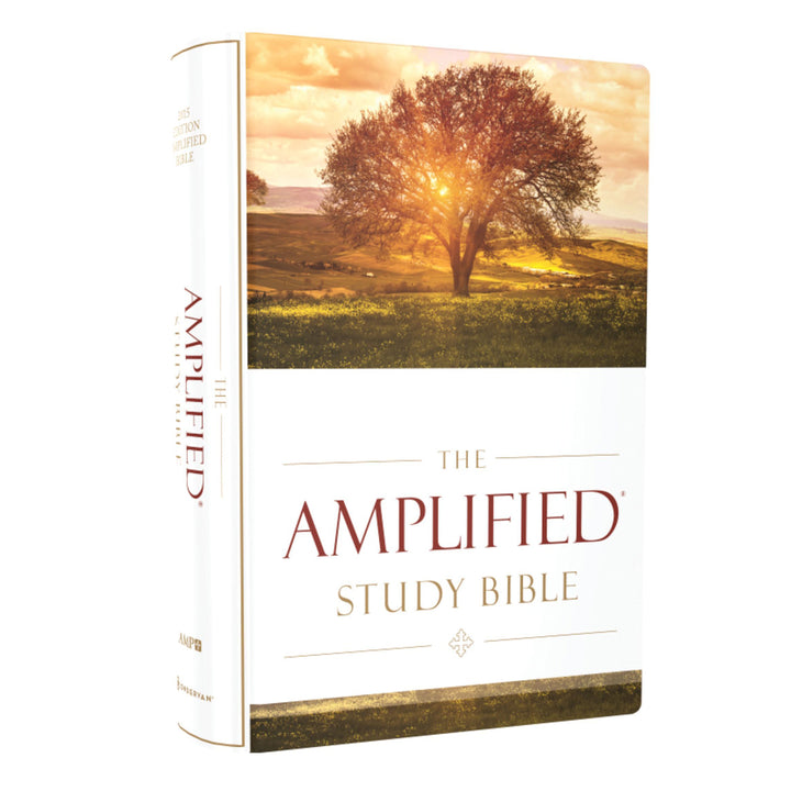 Amplified Study Bible Large Print (Hardcover)