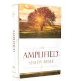Amplified Study Bible Large Print (Hardcover)