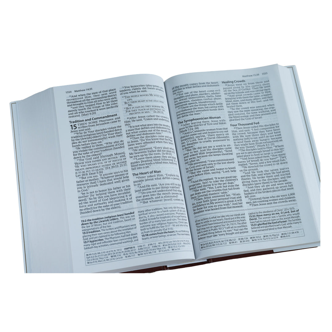 Amplified Study Bible Large Print (Hardcover)