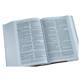 Amplified Study Bible Large Print (Hardcover)