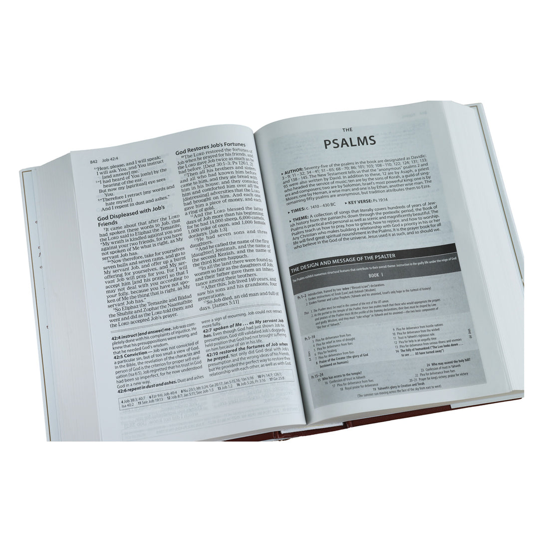 Amplified Study Bible Large Print (Hardcover)