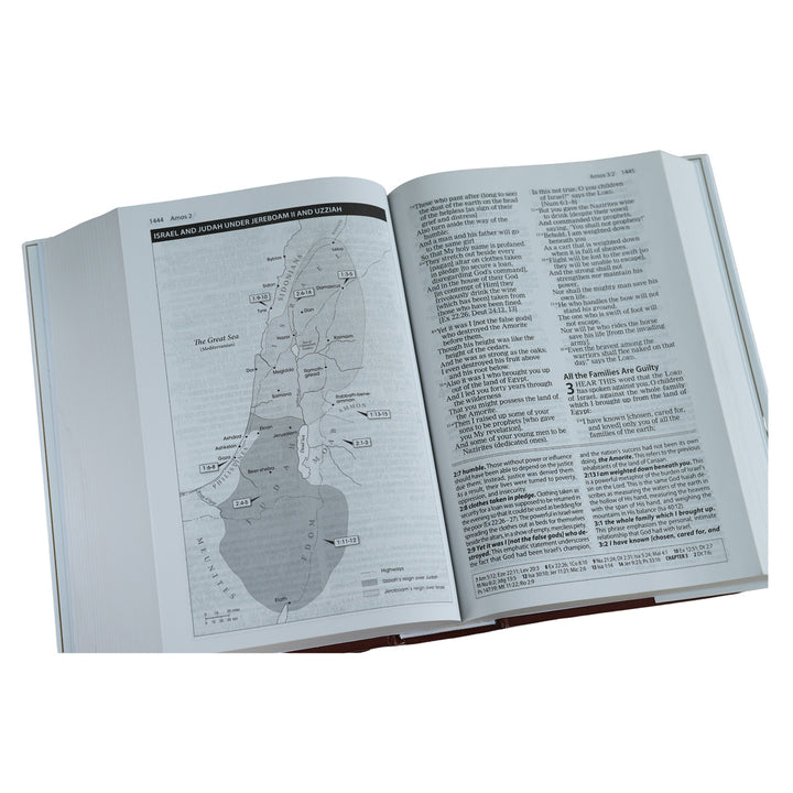 Amplified Study Bible Large Print (Hardcover)