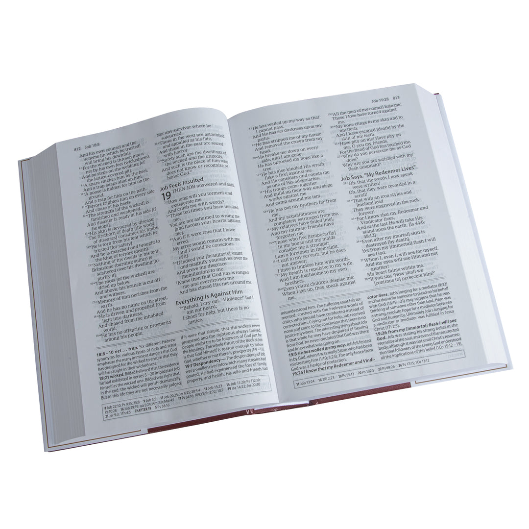 Amplified Study Bible Large Print (Hardcover)