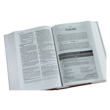Amplified Study Bible Large Print (Hardcover)