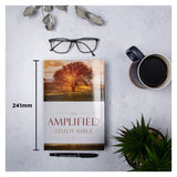Amplified Study Bible Large Print (Hardcover)