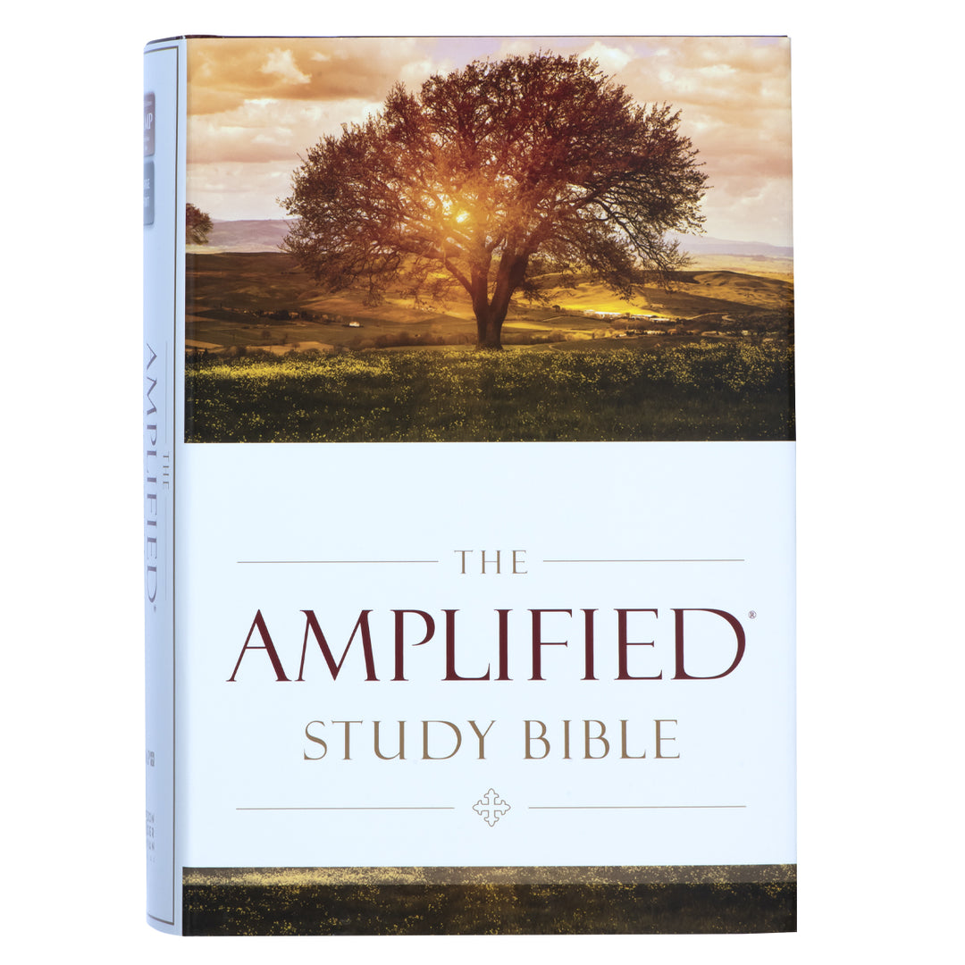 Amplified Study Bible Large Print (Hardcover)