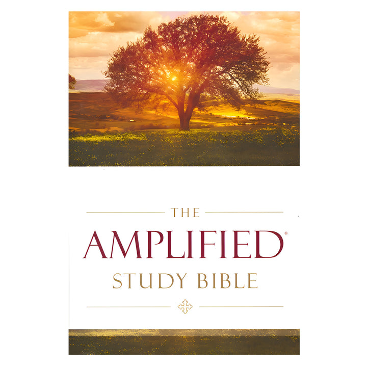 Amplified Study Bible Large Print (Hardcover)