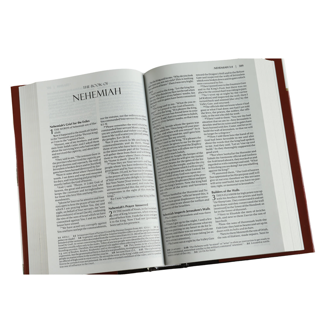 Amplified Holy Bible (Hardcover)