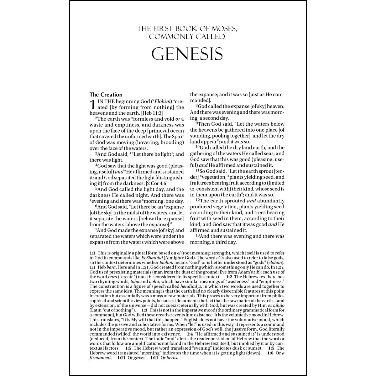 Amplified Holy Bible Large Print Burgundy (Bonded Leather)