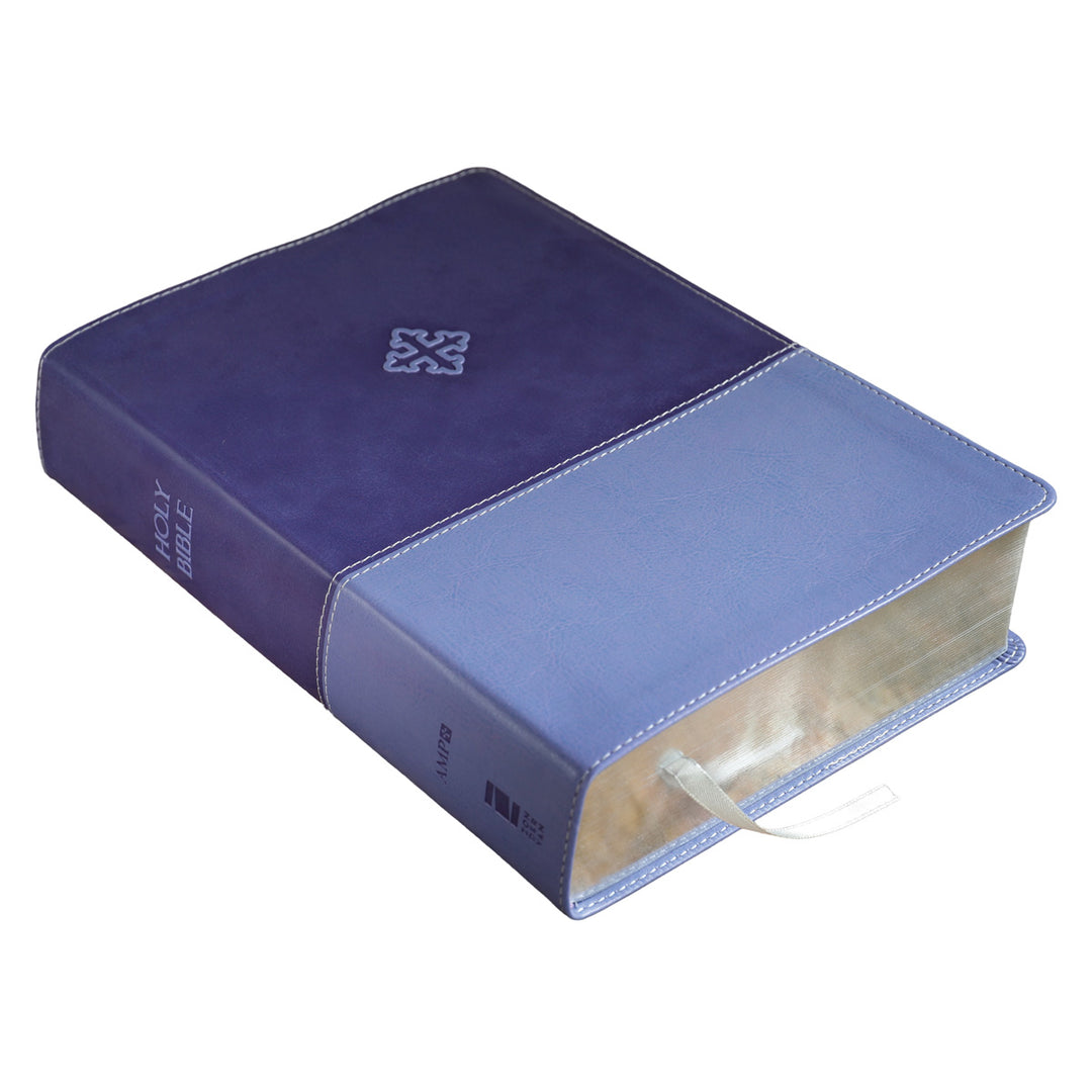 Amplified Study Bible Purple (Imitation Leather)