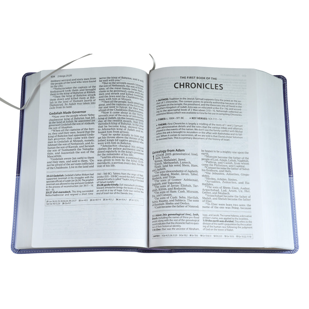 Amplified Study Bible Purple (Imitation Leather)