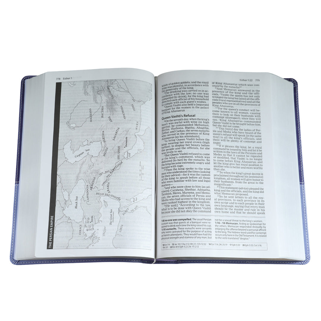 Amplified Study Bible Purple (Imitation Leather)