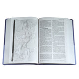 Amplified Study Bible Purple (Imitation Leather)