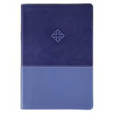 Amplified Study Bible Purple (Imitation Leather)